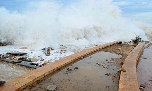 Cyclone killed eight in southeastern Yemen