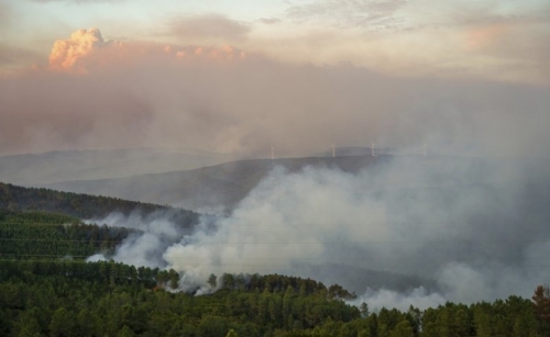 1,000 firefighters, 15 aircraft battle wildfire in Portugal