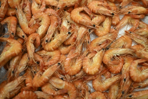 Cameroonian woman accused of smuggling 