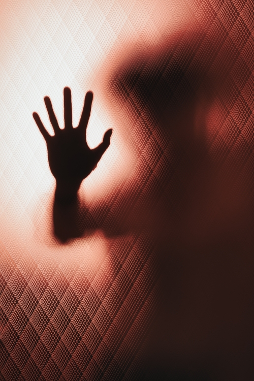 Horror at Bengaluru Daycare: Toddlers Allegedly Kept in Washing Machine Horror at Bengaluru Daycare: Toddlers Allegedly Kept in Washing Machine