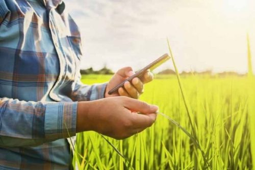 India’s AI-Driven Climate Adaptation: A New Dawn for Monsoon Resilience 