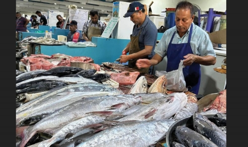 Seafood Supply Surge
