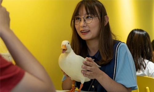 Coffee and quacks served up at Chengdu duck cafe