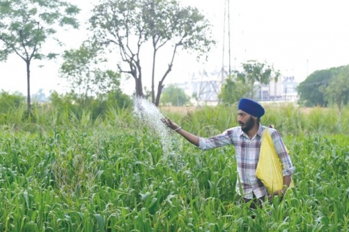 War’s impact on fertilisers stirs food producer fears