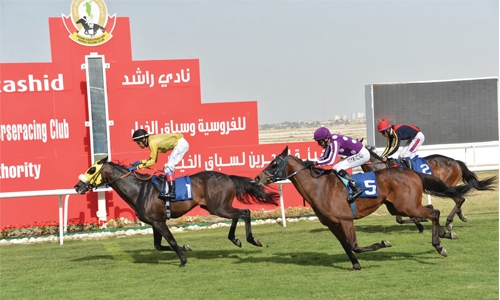 Sol wins richest race