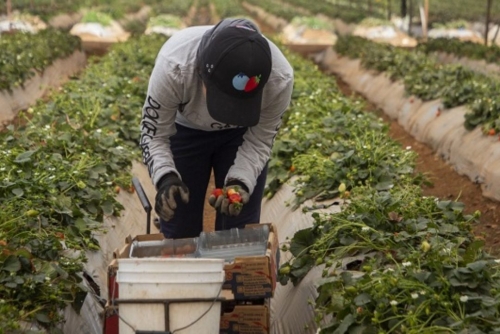 China says to slap fresh tariffs on Canadian farm, food products