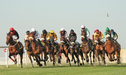 No Doubt, Harash shine in dead heat No Doubt, Harash shine in dead heat