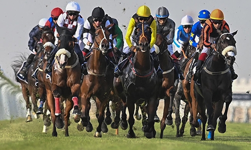 Stellar card set at Sakhir horseracing track