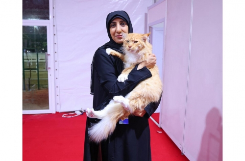 Bahraini animal rescuer nurses cat back to health 