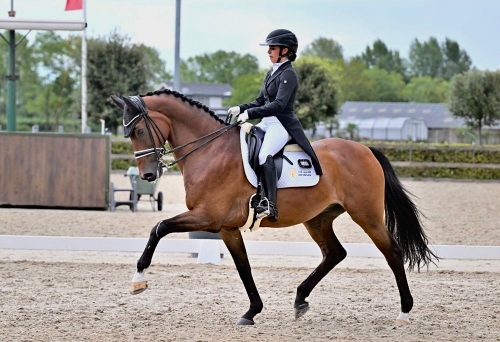 Aneesa Al Mahmood: “Representing Bahrain in Dressage is a Dream Come True”