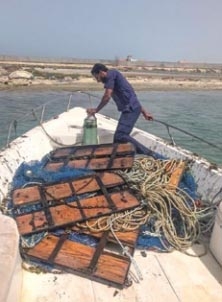 Marine Control inspectors seize illegal shrimping nets