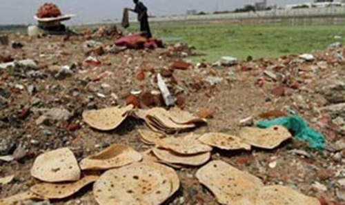 Saudis waste Dh49 billion worth of food a year