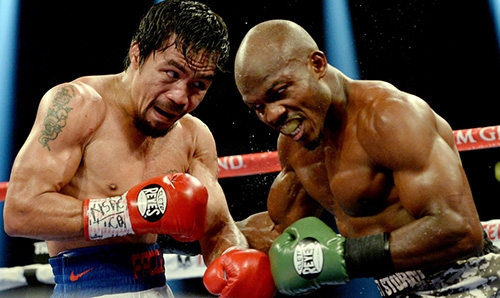 Pacquiao to fight Bradley in April 