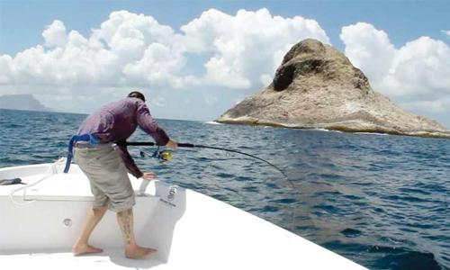 This winter go game fishing in Oman