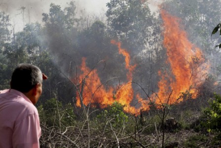 Indonesian fires send smog over Singapore, Malaysia