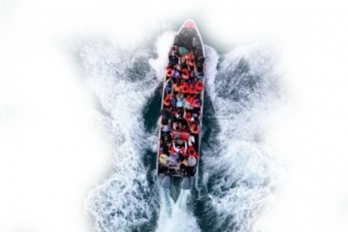 76 dead, dozens missing after migrant boat sinks off Yemen