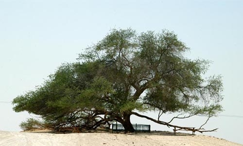 Bahrain's tourism sector promoted in India Bahrain's tourism sector promoted in India