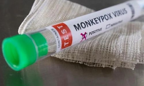 Monkeys under attack in Brazil amid rising fear of monkeypox infection