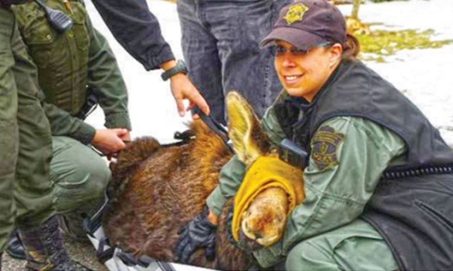 Environmental police plan may be ‘dropped’ Environmental police plan may be ‘dropped’