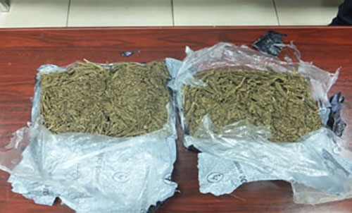 529.5 grams of marijuana seized, smuggler arrested 529.5 grams of marijuana seized, smuggler arrested