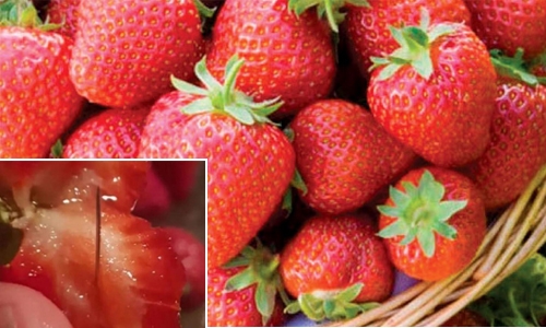 Woman arrested over strawberry needle scare in Oz