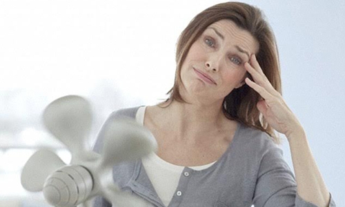 Women’s Health In Menopause Women’s Health In Menopause