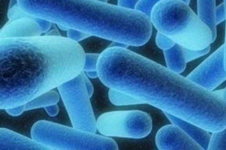 New York's largest Legionnaires outbreak kills seven New York's largest Legionnaires outbreak kills seven