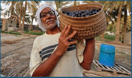 MPs to Review Strategic Stockpile Bill Again