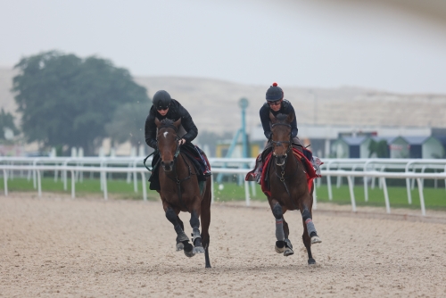 Bahrain Turf Series races resume