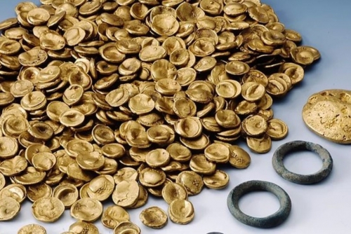 Thieves Steal €600,000 Worth of Gold from Paris Natural History Museum