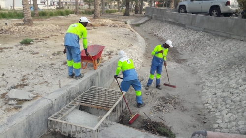 Ministry of Municipalities Intensifies Efforts to Combat Mosquito Spread