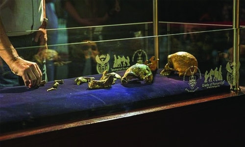 Fossils suggest hominids may have lived alongside modern humans