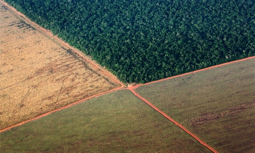 Bolsonaro wants to plunder the Amazon. Don’t let him