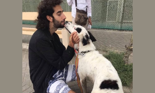 Residents start shooting at stray dogs as reports of animal attacks continue in Bahrain
