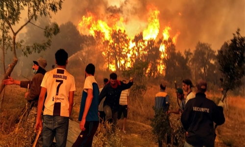At least 65 killed in Algerian wildfires; Greece, Turkey also battle blazes