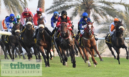 Three horses tipped with chance Three horses tipped with chance