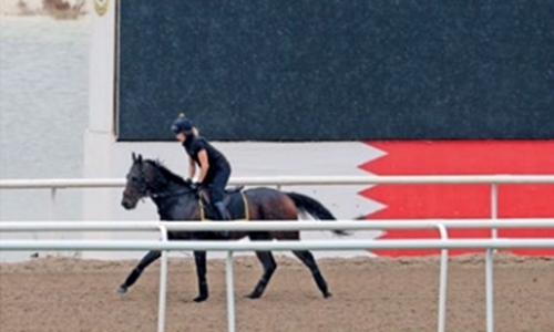 Bahrain hailed for success of historic horserace Bahrain hailed for success of historic horserace