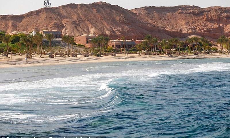 Czech tourist killed by shark in Egypt