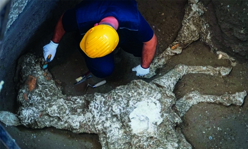 Pompeii dig finds trace of ancient racehorse