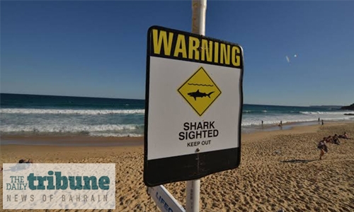 Diver killed in Australia shark attack Diver killed in Australia shark attack