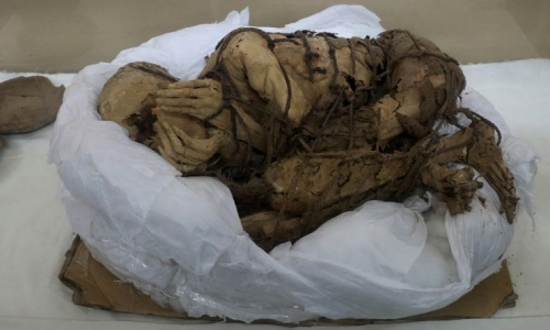 1,200-year-old remains of sacrificed adults, kids unearthed in Peru