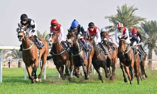 George Baker sets his sights on more Bahrain Turf Series glory George Baker sets his sights on more Bahrain Turf Series glory