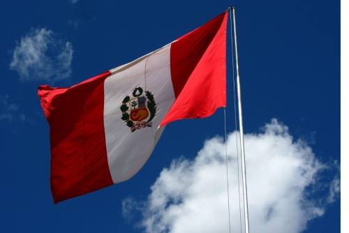 One dead, 47 injured after 'incident' at Peru football derby: minister One dead, 47 injured after 'incident' at Peru football derby: minister