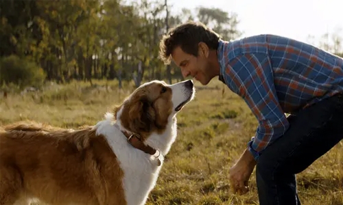 ‘A Dog’s Journey’ is weapons-grade tearjerker material for dog lovers 