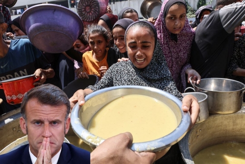 French delight for Palestine French delight for Palestine