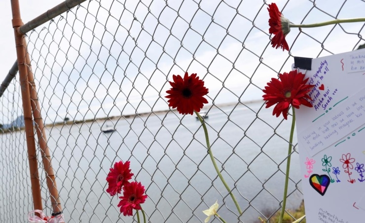 New Zealand volcano eruption death toll rises to 17 New Zealand volcano eruption death toll rises to 17