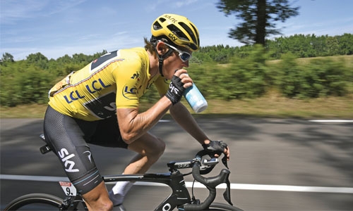 Thomas chooses hay over trees Thomas chooses hay over trees