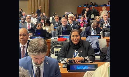 iGA Bahrain participates in 55th Session of United Nations Statistical Commission