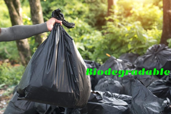 Bahrain to phase out non-biodegradable garbage bags 
