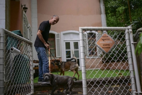 Brazil approves law allowing shared pet custody